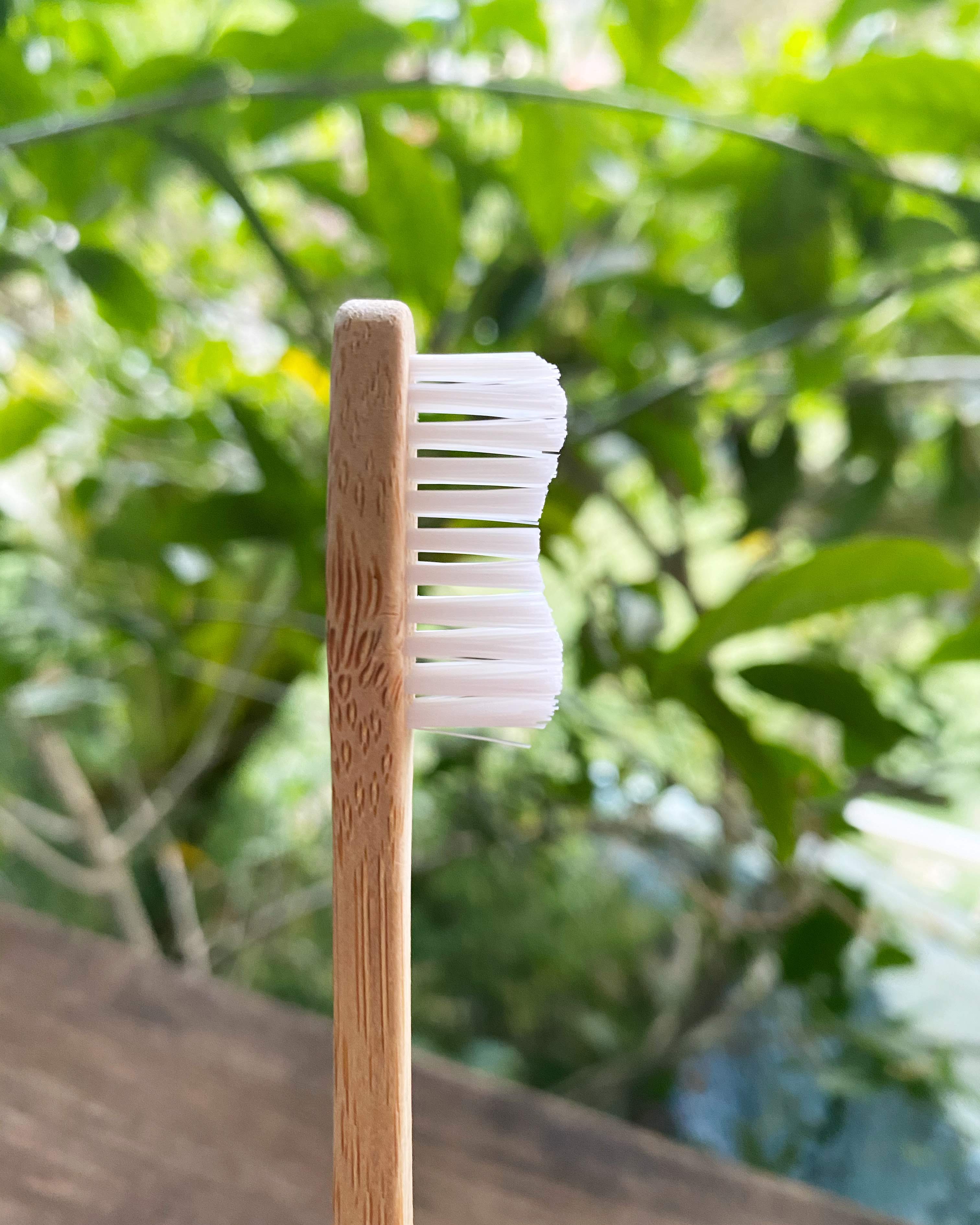 Bamboo Toothbrush