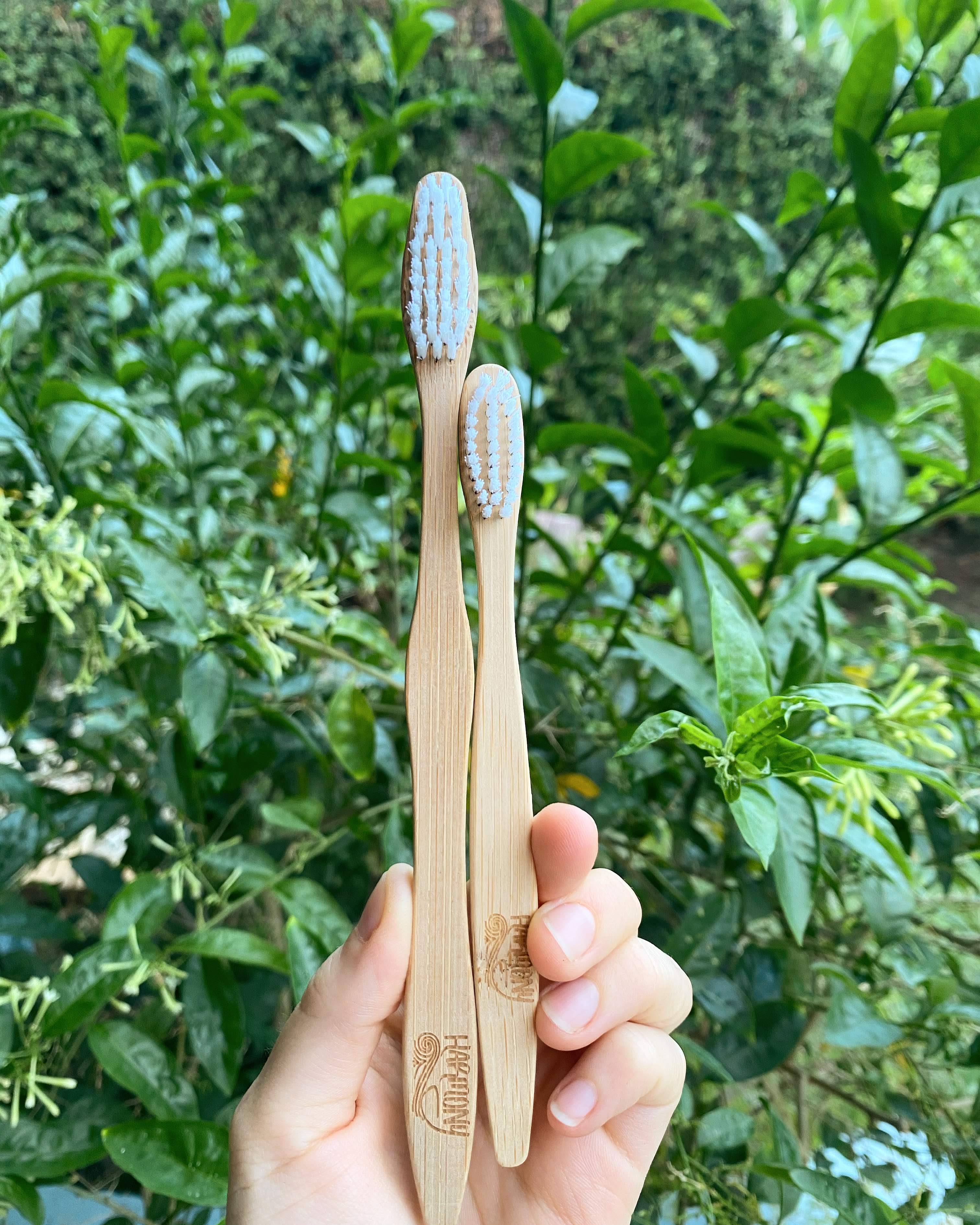 Bamboo Toothbrush