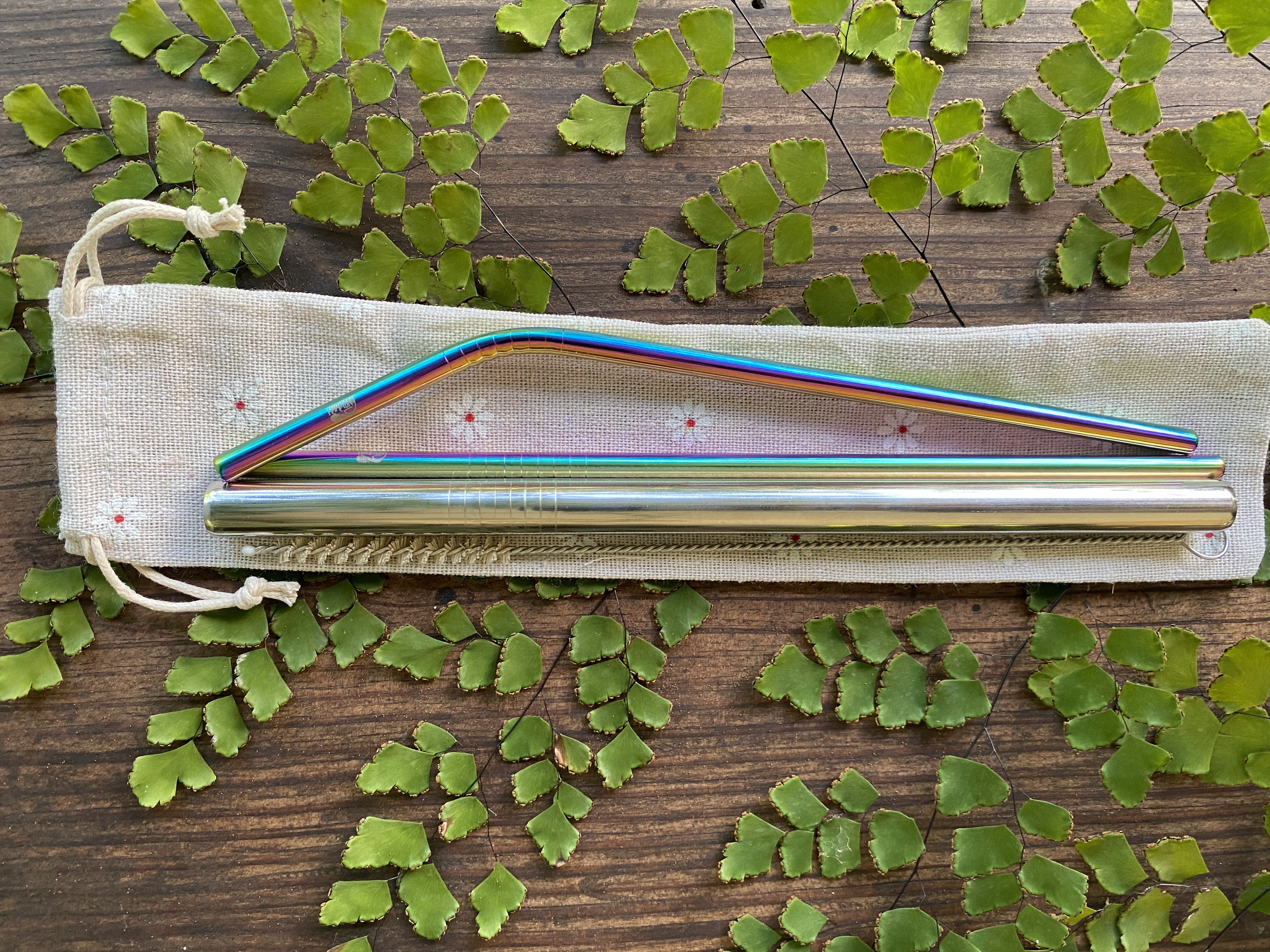 Reusable Steel Straws