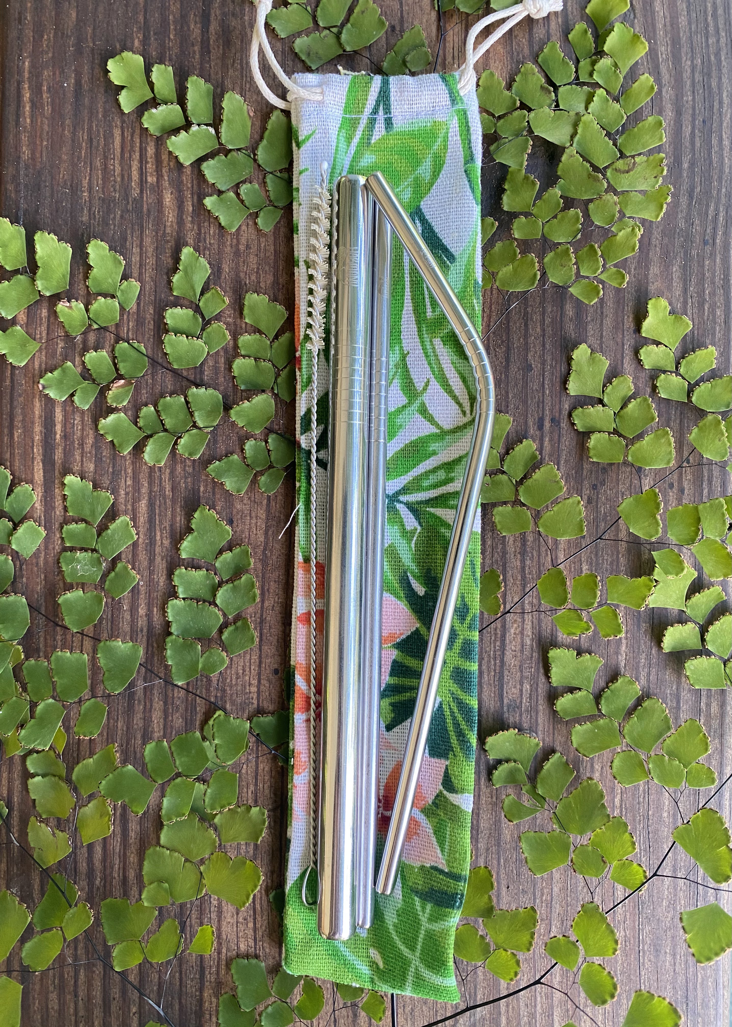 Reusable Steel Straws