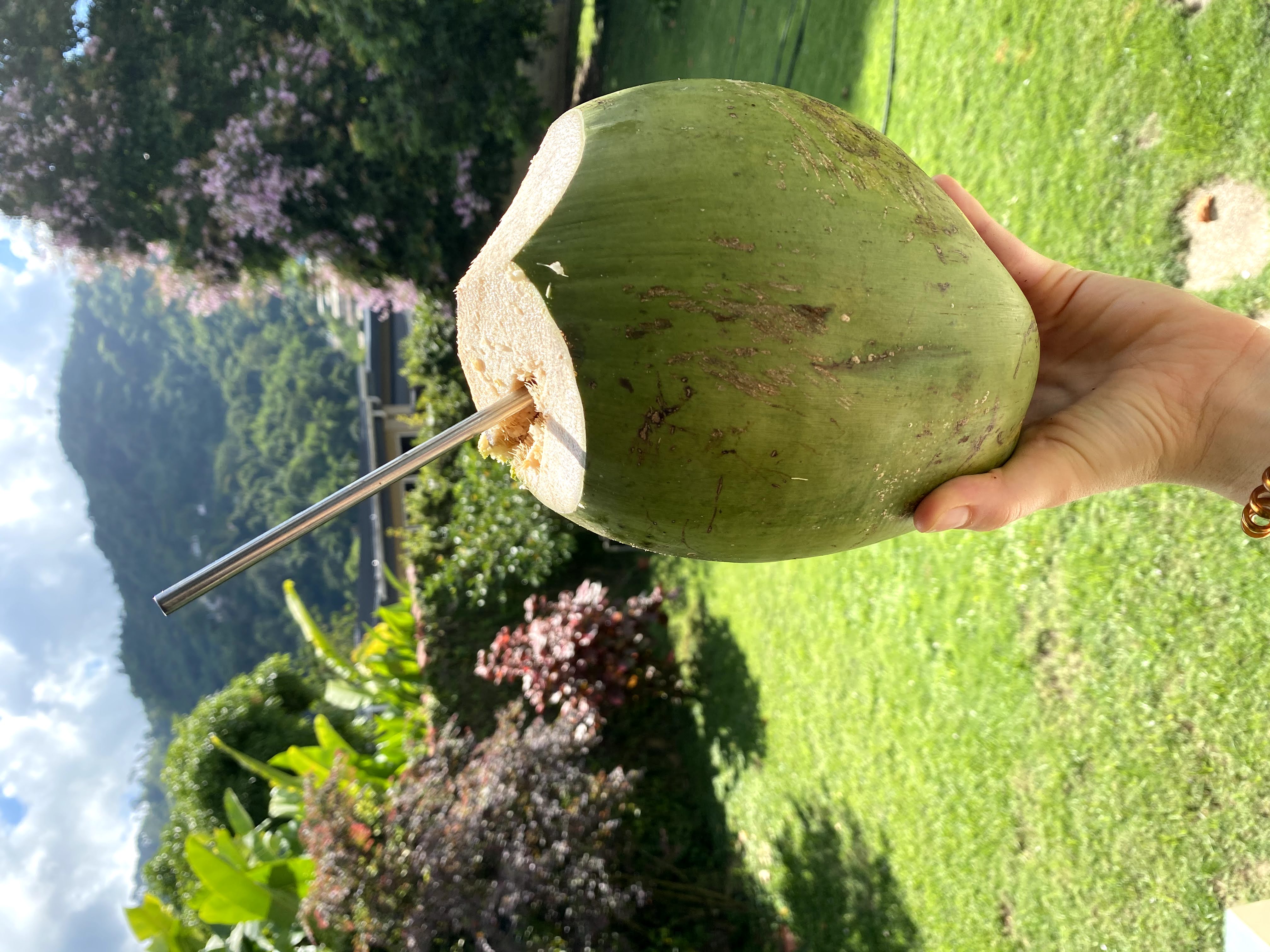 Reusable Steel Straws