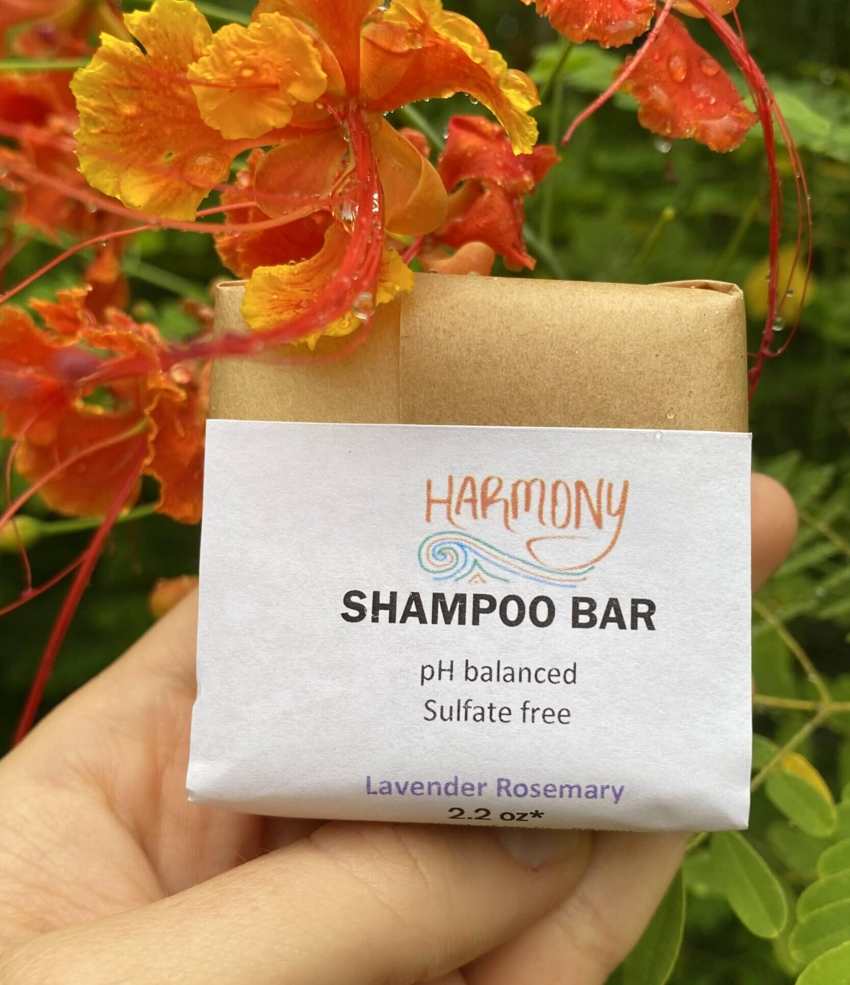 Shampoo Bar
