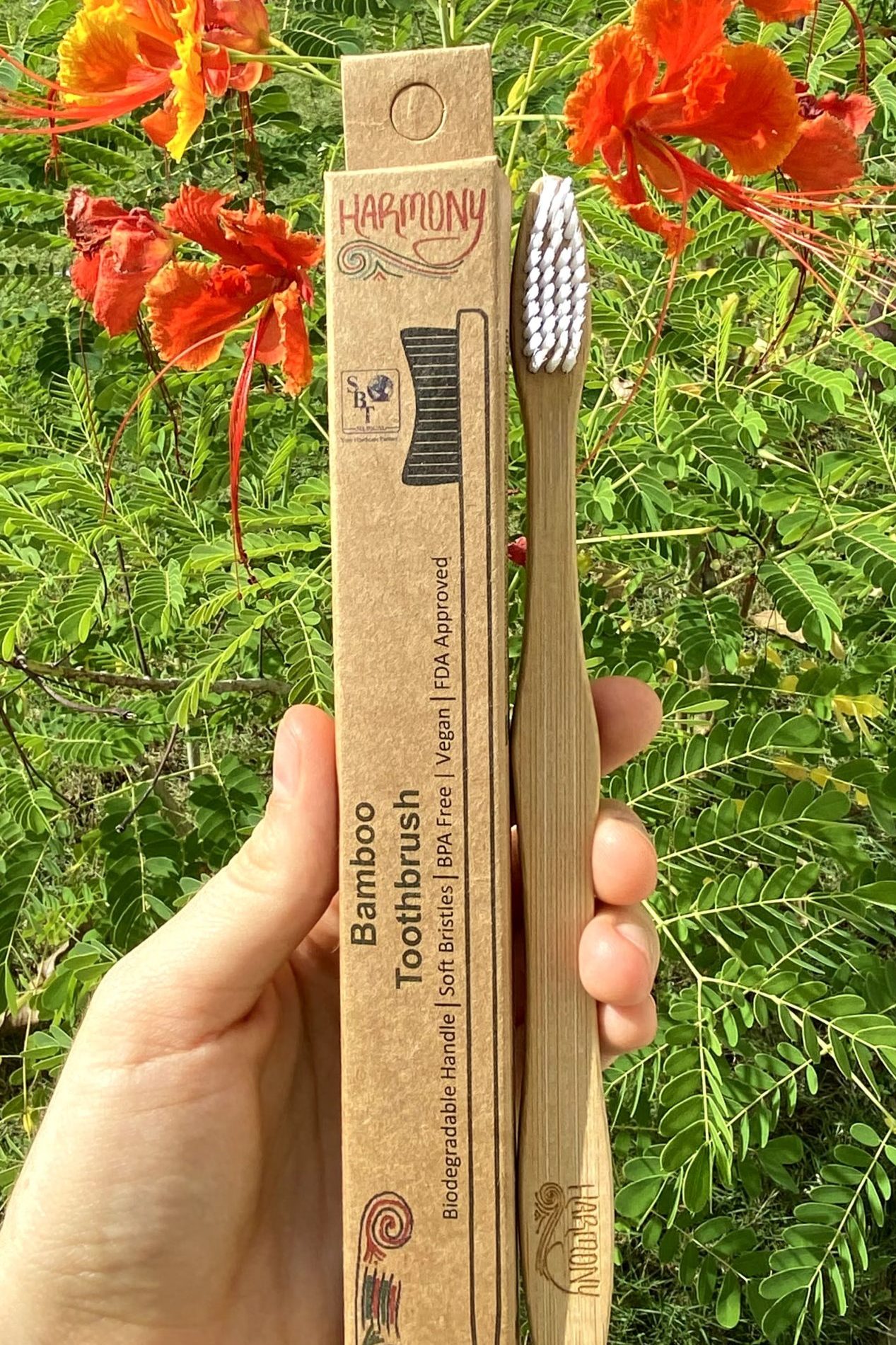 Bamboo Toothbrush