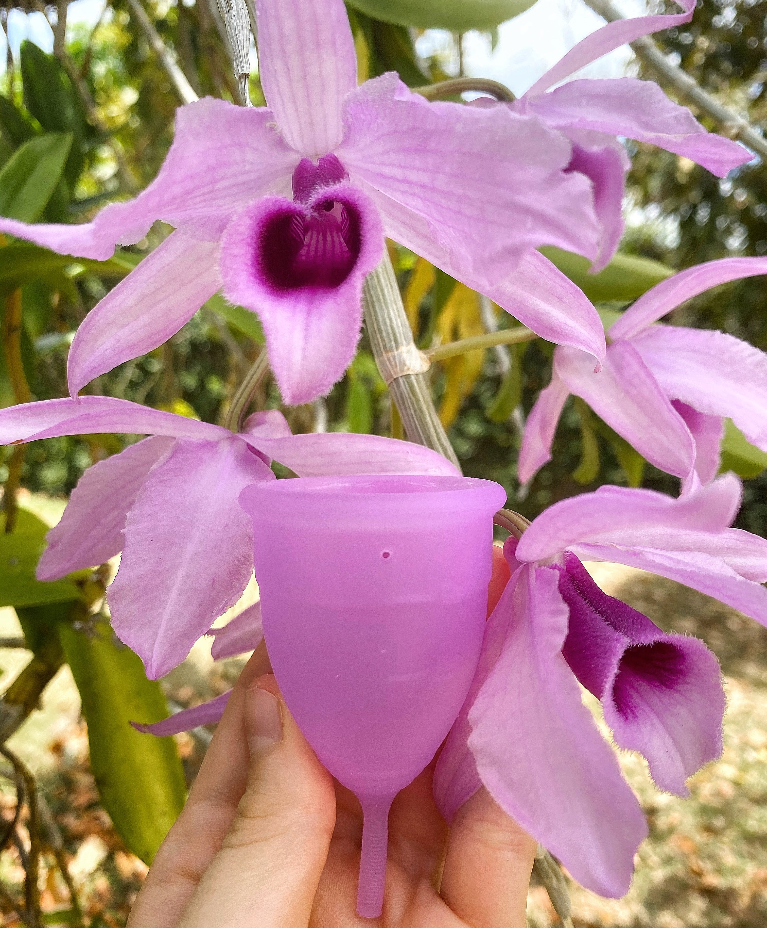 Harmony Menstrual Cup