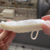 Luffa Sponge